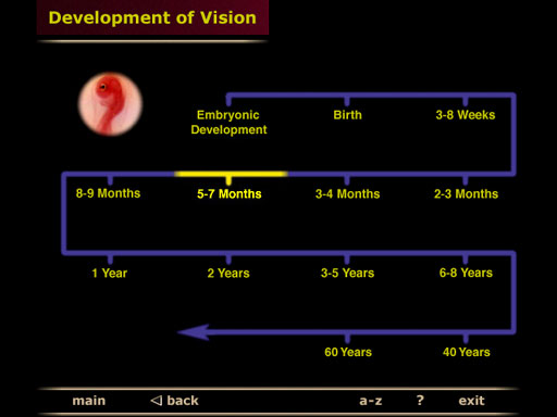 development of vision timeline screenshot