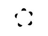 Kanisza subjective circles line illusion.